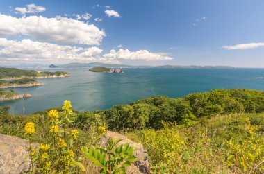 Japon deniz ve kayalıklarla