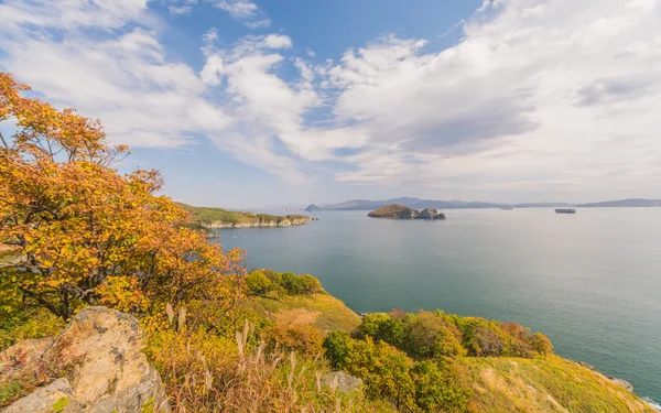 Japon deniz ve kayalıklarla