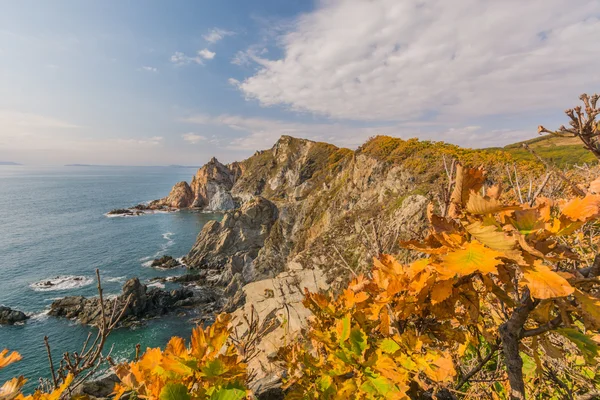 Японское море и скалы — стоковое фото