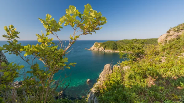 Japon deniz ve kayalıklarla — Stok fotoğraf