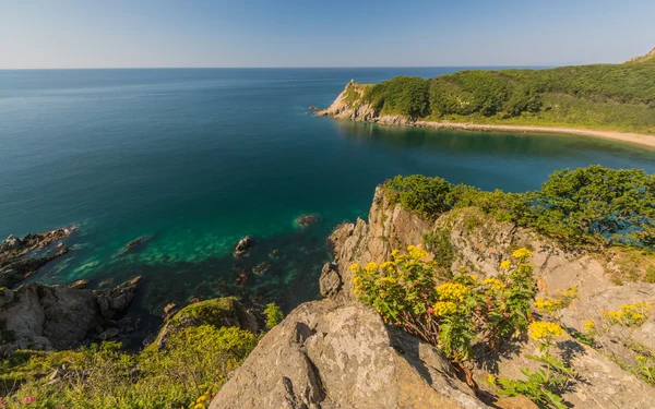 Japon deniz ve kayalıklarla