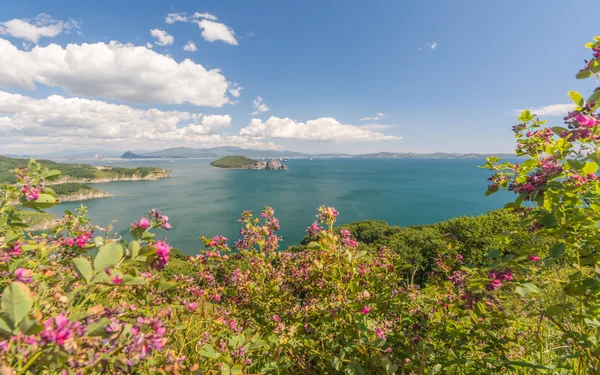 Japon deniz ve kayalıklarla