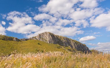 Kayalar ve Güney Rusya'nın Dağları