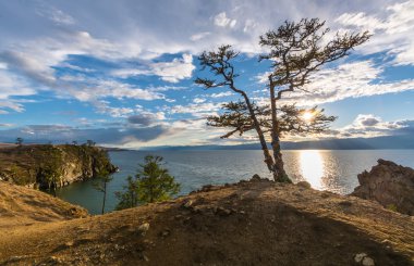 Vahşi yaşam Deniz Baykal