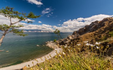 Vahşi yaşam Deniz Baykal