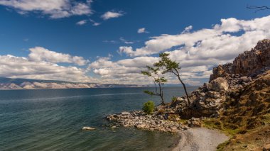 Vahşi yaşam Deniz Baykal