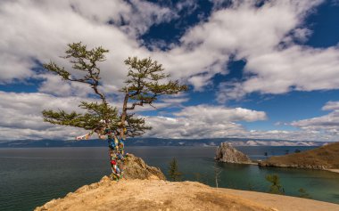 Wildlife of lake Baikal clipart