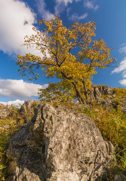 Rocas y montañas del sur de Rusia — Foto de Stock