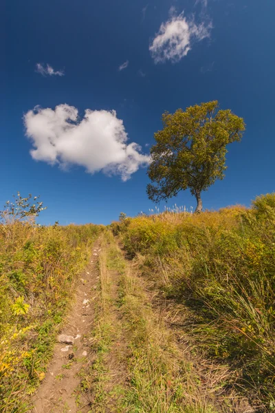 Rochers et montagnes du Sud de la Russie — Photo