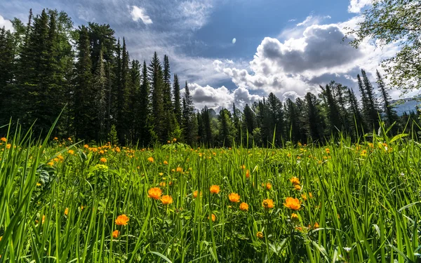 Montagne e fiumi — Foto Stock