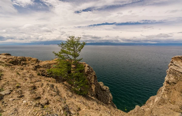 Bajkál-tó élővilága — Stock Fotó