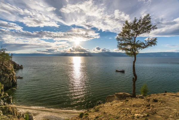 Vahşi yaşam Deniz Baykal