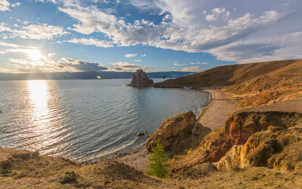 Kehidupan liar di danau Baikal — Stok Foto