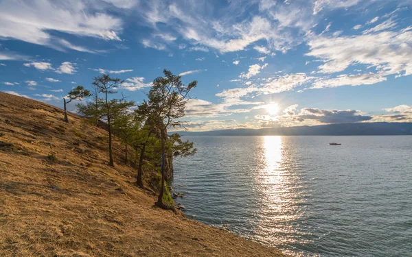 Kehidupan liar di danau Baikal — Stok Foto