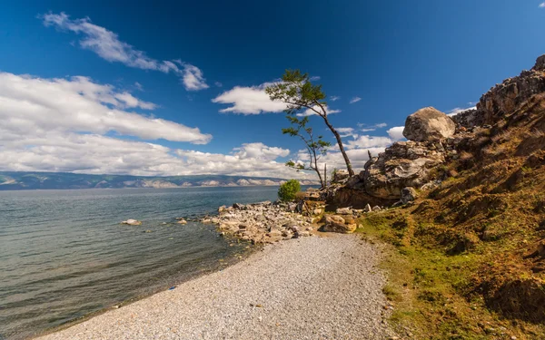 Djurlivet i Bajkalsjön — Stockfoto