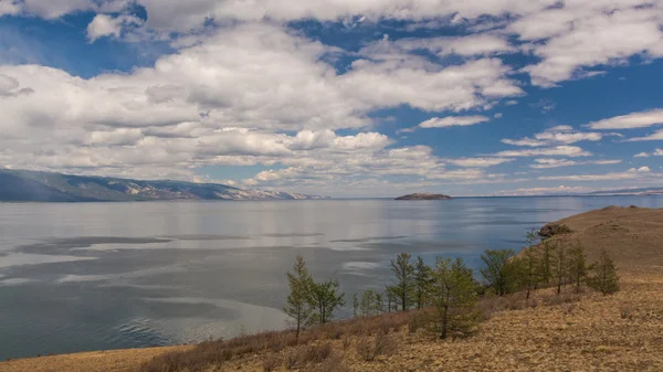 Fauna selvatica del lago Baikal — Foto Stock