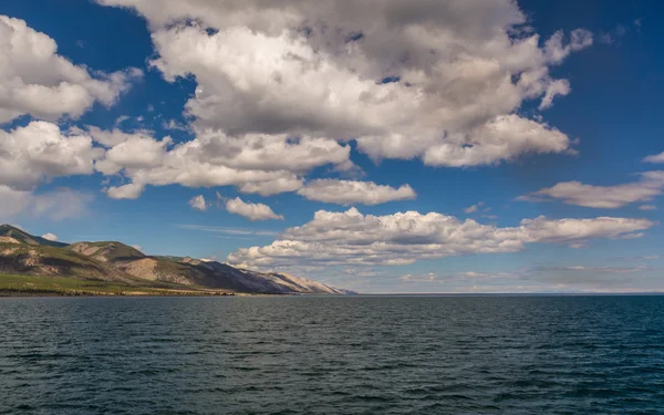 Kehidupan liar di danau Baikal — Stok Foto