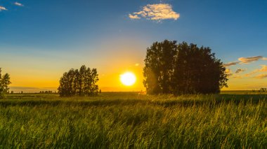 Tarlada gün batımı