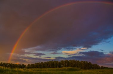 Tarlada gün batımı