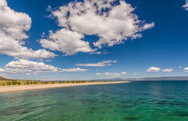 Vida silvestre del lago Baikal — Foto de Stock