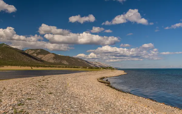 Kehidupan liar di danau Baikal — Stok Foto
