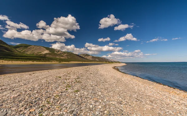 Kehidupan liar di danau Baikal — Stok Foto