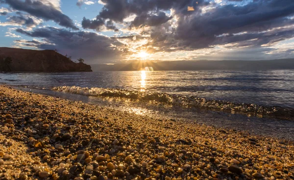 Vahşi yaşam Deniz Baykal