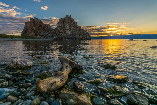 Vida selvagem do lago Baikal — Fotografia de Stock