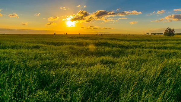 現場の夕日 — ストック写真