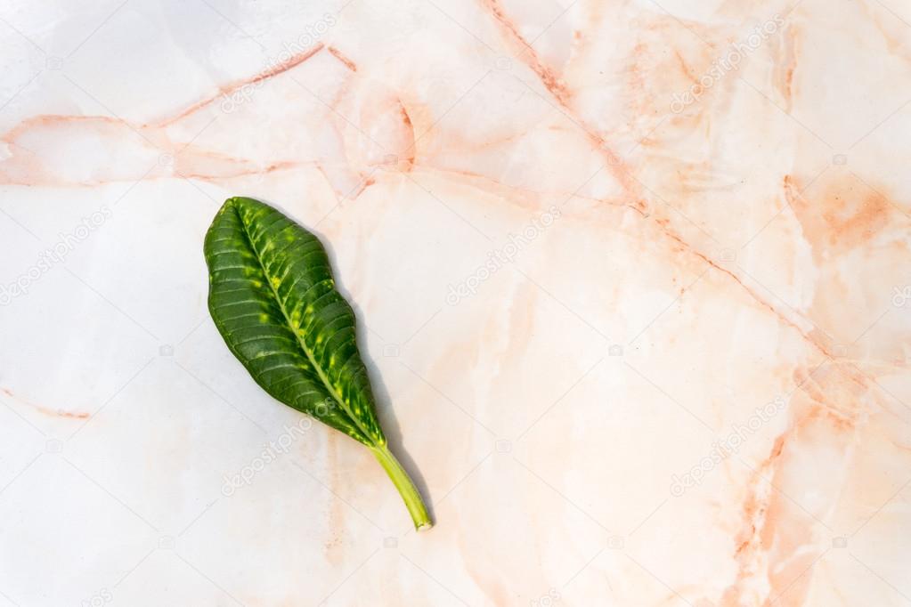 Orange White Marble Texture with Small Green Leaf Background