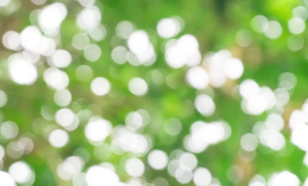 Natural Green Bokeh Blur Background — Stock Photo, Image