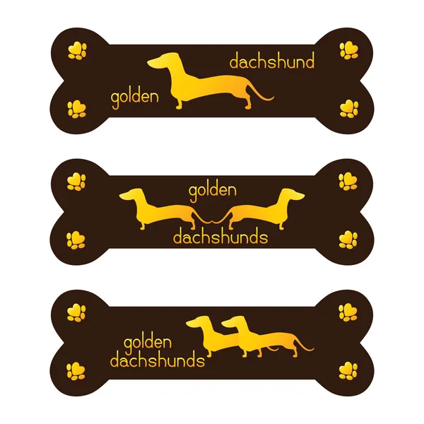 Conjunto de modelo de logotipo de canil dourado dachshund — Vetor de Stock