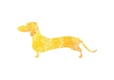 Altın renkli eski püskü dachshund