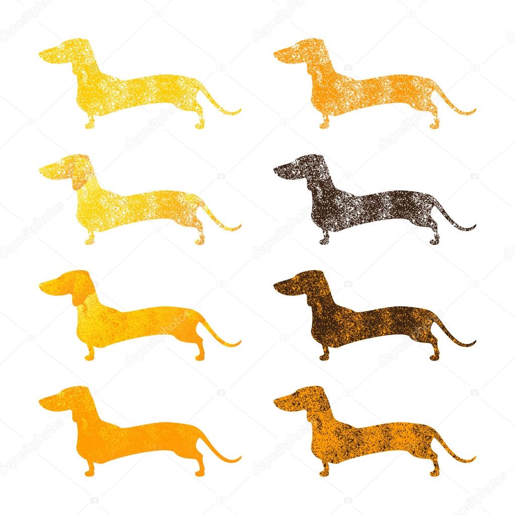 Set of golden colored shabby dachshunds