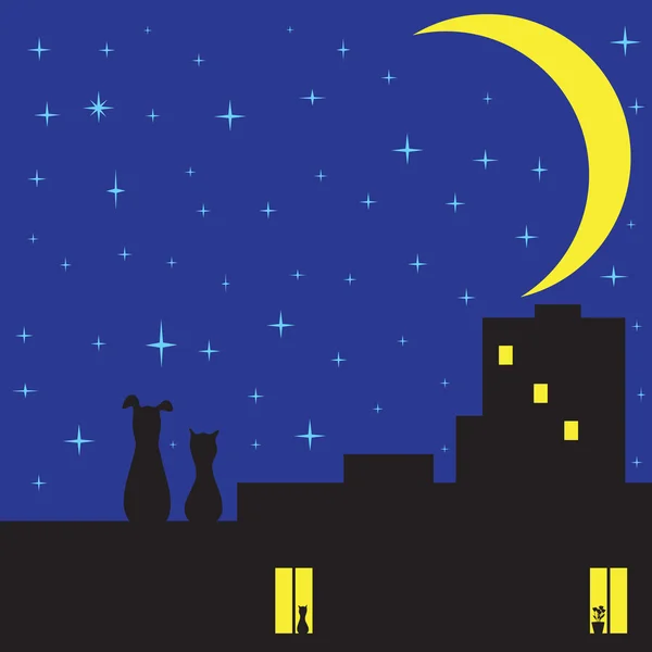 Kedi ve köpek çatıda oturan