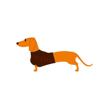 Dachshund güneş gözlüğü
