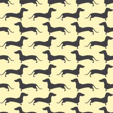 Dachshund desen karşısında