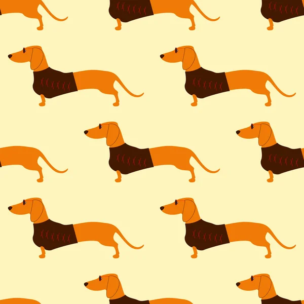 Pattern with dachshund in sunglasses — Stock Vector