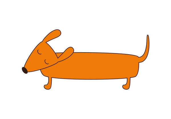 Lindo perro salchicha — Vector de stock