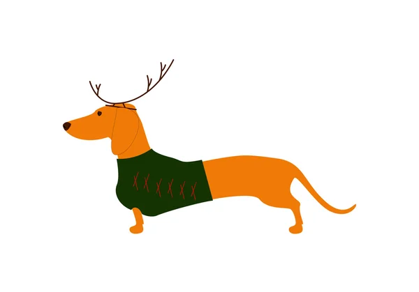 Dachshund in Christmas suit — Stock Vector