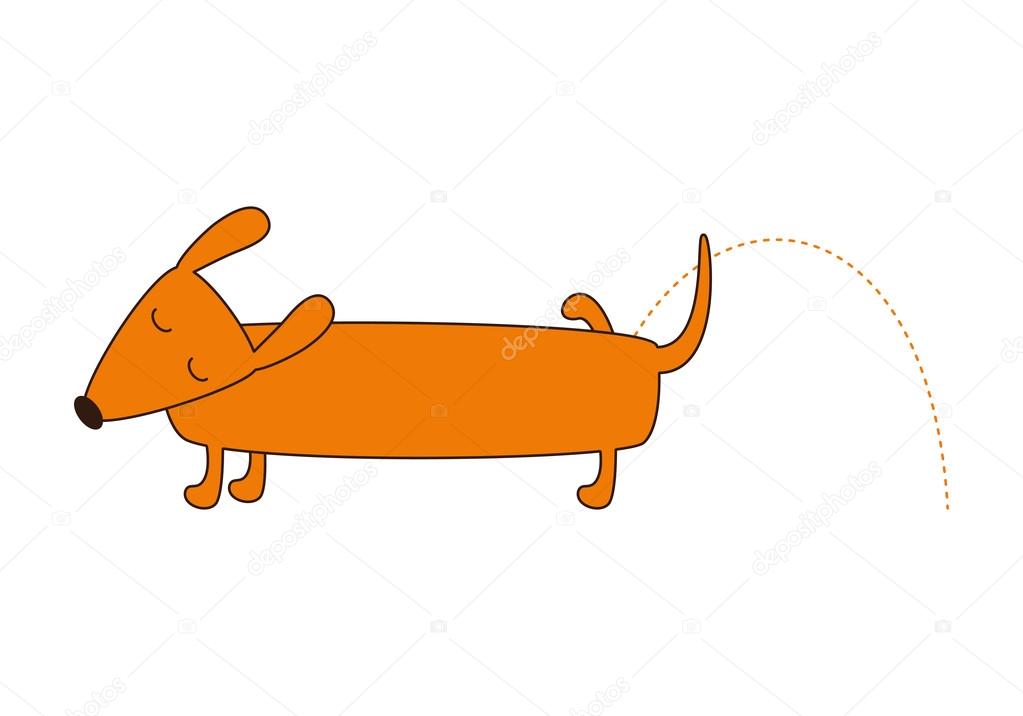 Cute pissing dachshund