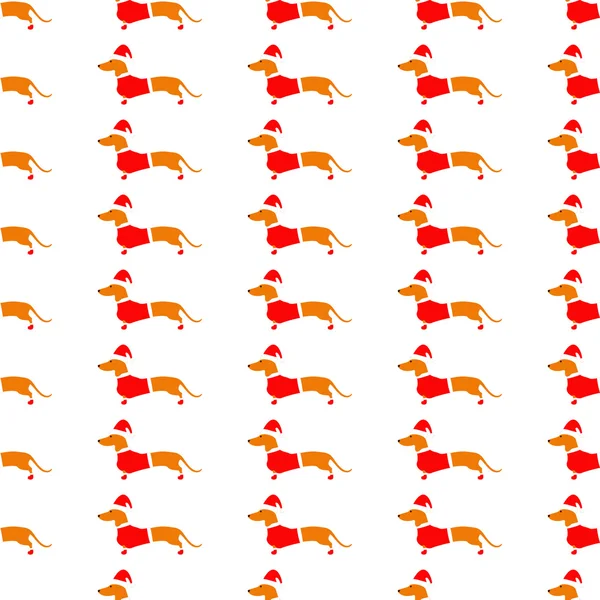 Dachshund kırmızı Noel kıyafetli ile arka plan