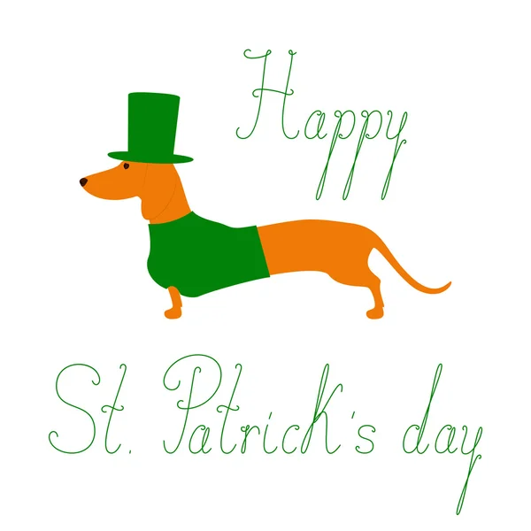 St Patricks Günü dachshund
