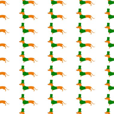 Arka plan ile dachshund St Patricks günü içinde uygun