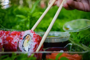 Piknik. Suşi bir yaz gününde açık havada. Gün kapalı park