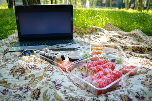 Piknik. Suşi bir yaz gününde açık havada