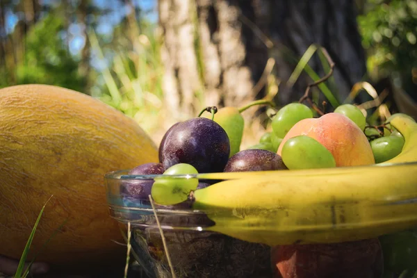 Frutas orgánicas frescas en el plato —  Fotos de Stock