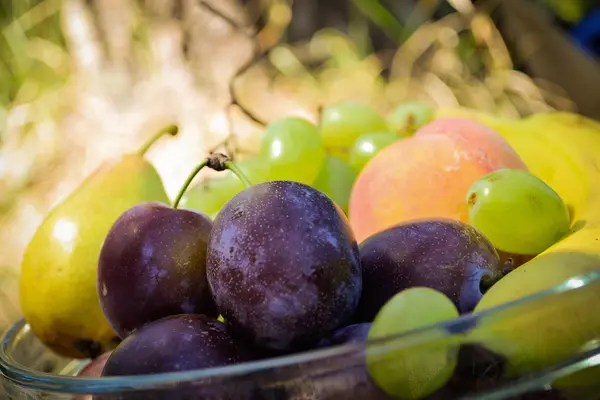 Frutos orgânicos frescos no prato — Fotografia de Stock