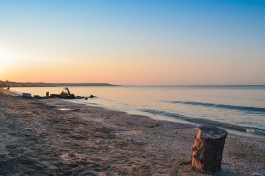 Ağaç kütüğü sahilde