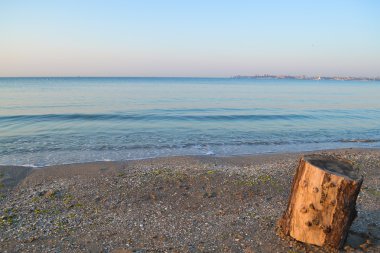 Ağaç kütüğü sahilde